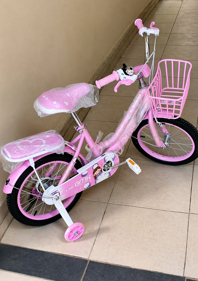 Kids Bicycle with Training Wheels – Pink