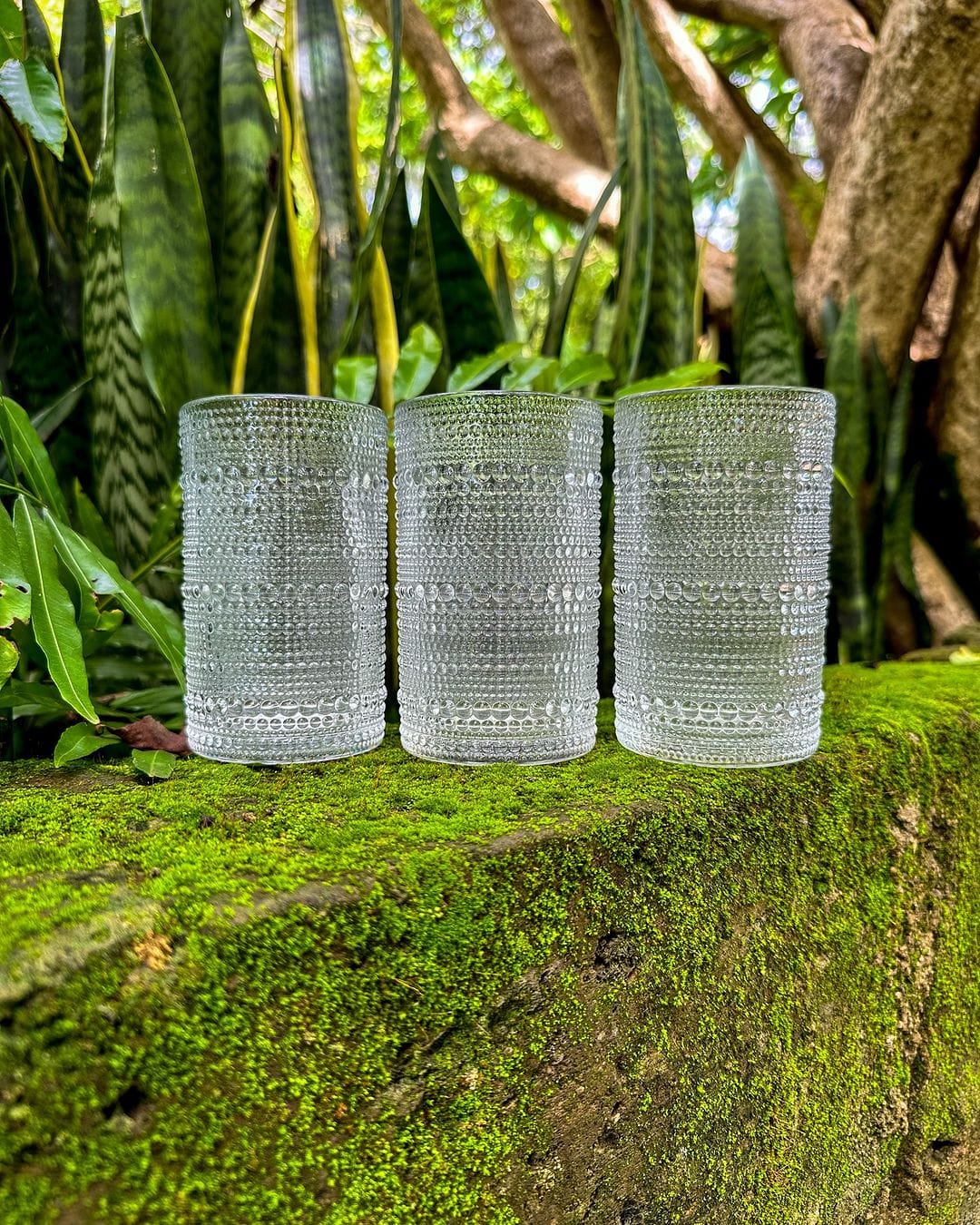 6 pcs Vintage Embossed Dots pattern transparent Glass