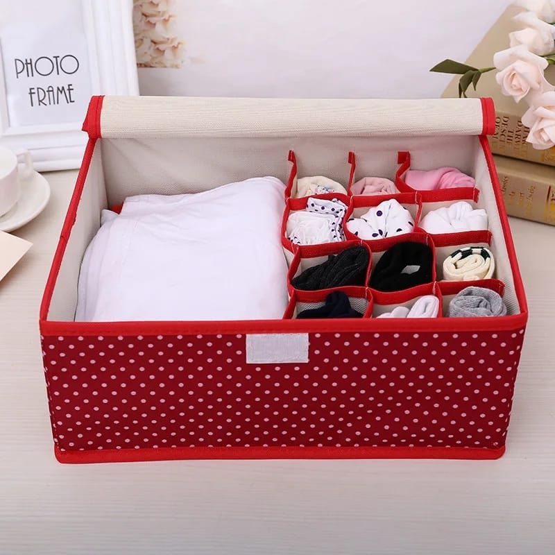 Undergarment Organizer