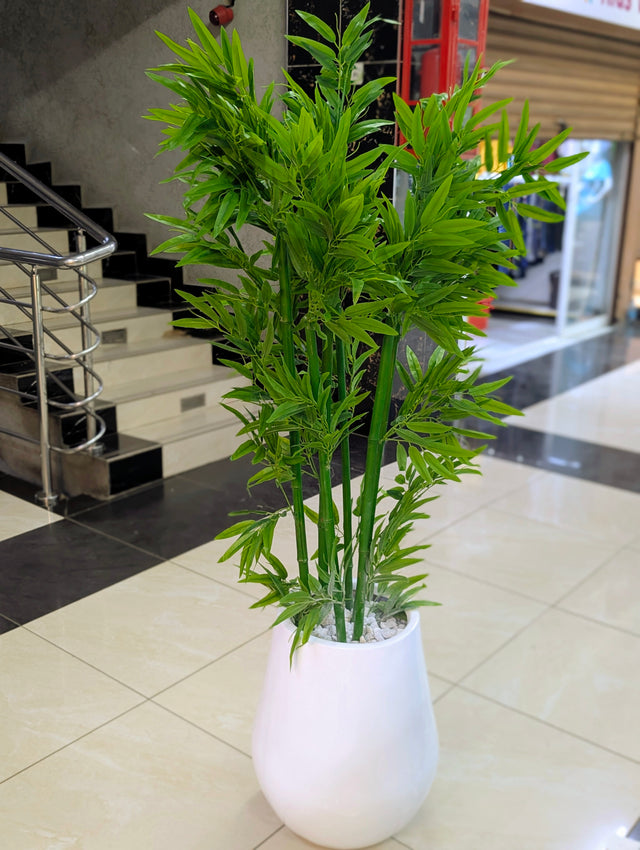 The green bamboo plant
Add and aesthetic to you home with this 150 cm bamboo tree