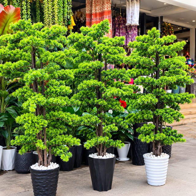 Artificial Bonsai Tree with Pot — 150cm