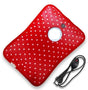 Electric hot water bottle