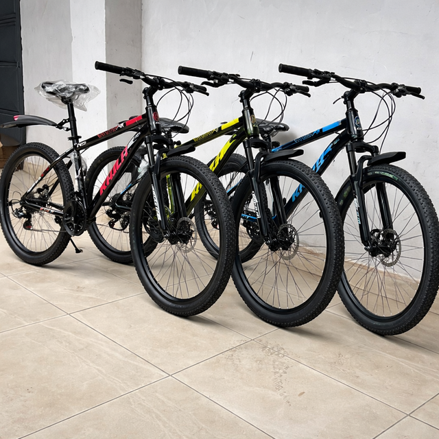 Sports / Mountain Bike len