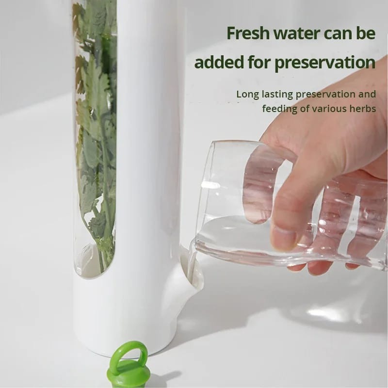 Herb fridge storage container