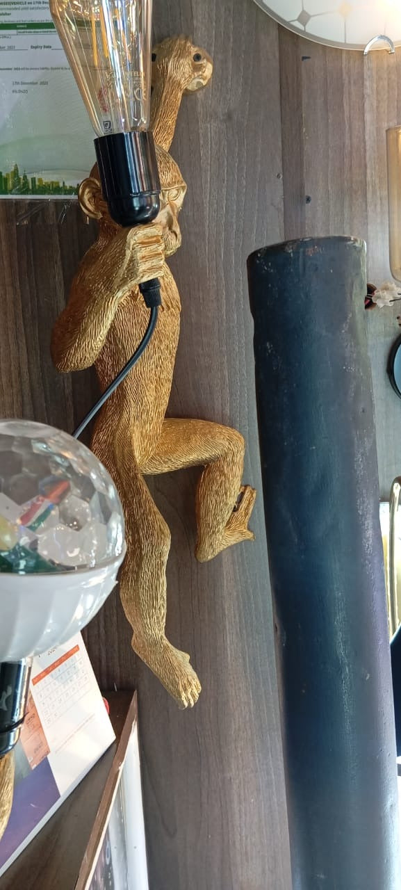 creative monkey lump