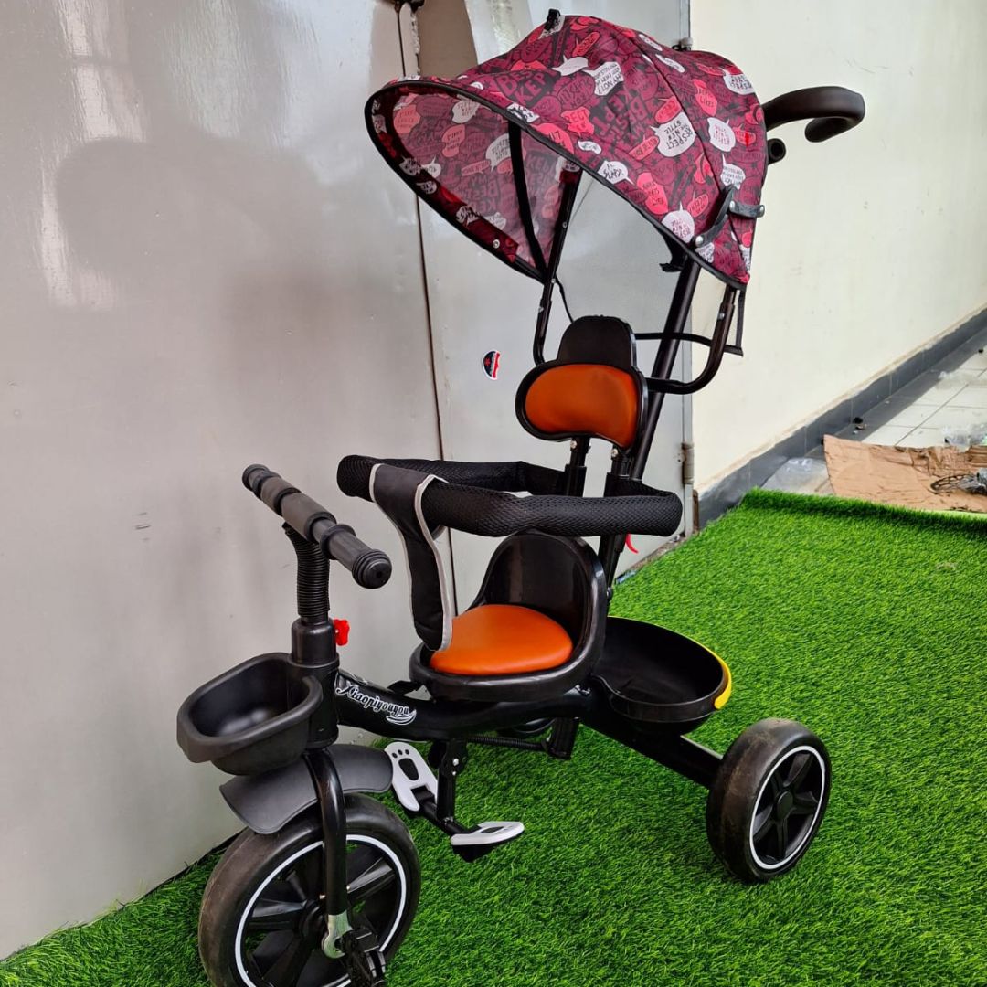 Tricycle with canopy