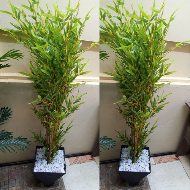 Bamboo tree