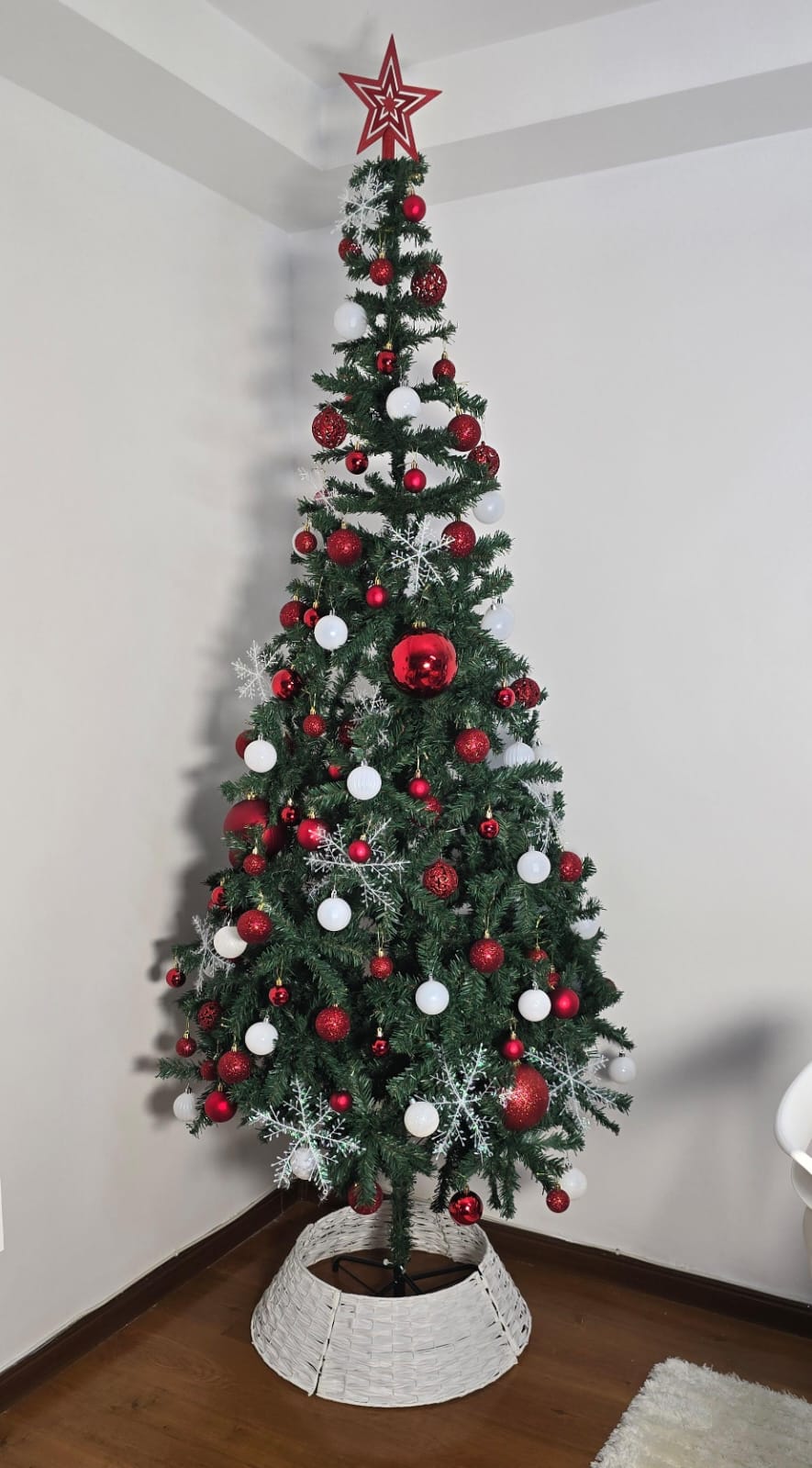 Green Cyprus Christmas Trees