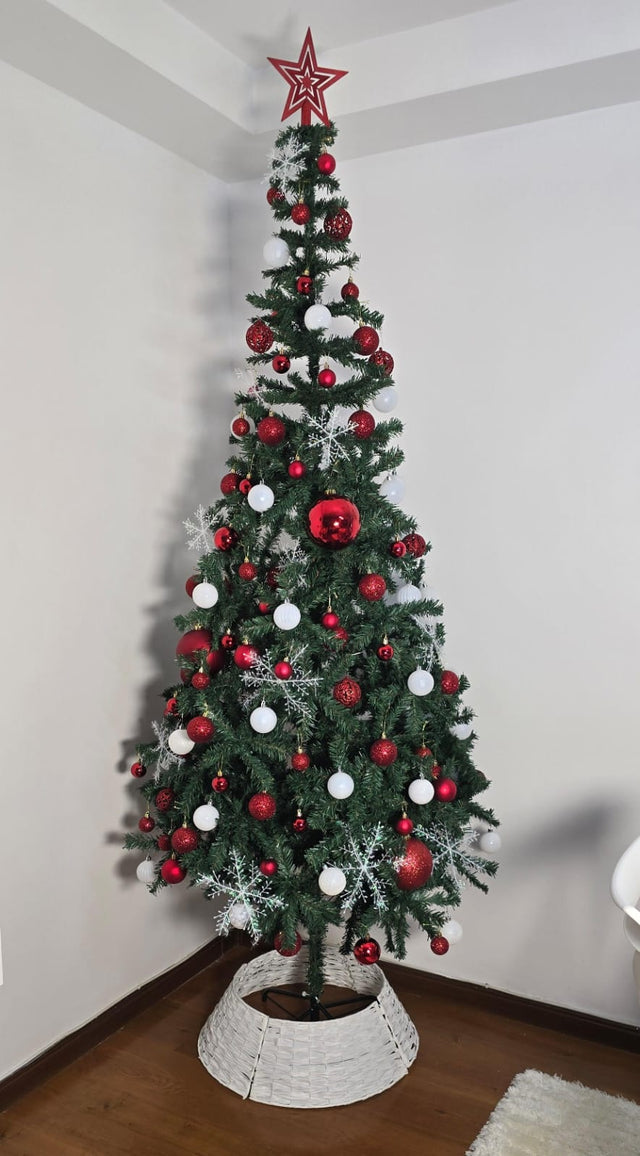Green Cyprus Christmas Trees