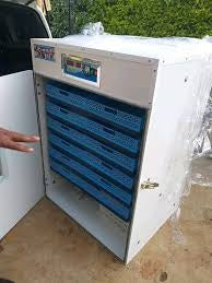 Poultry egg incubators for hatching eggs.