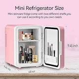 4L Portable Beauty car fridge with mirror and duo power option (car cigar DC power or AC power)