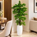 Large Artificial Bonsai Tree with Layered Pine Style Foliage in Tall White Planter — 2.4 Metres