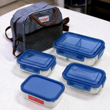 4-Piece Glass Lunch Box Set with Insulated Lunch Bag