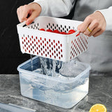 BPA free storage containers
