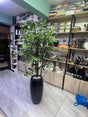 Artificial plant ficus tree in black planter displayed in store — iDecorators Kenya