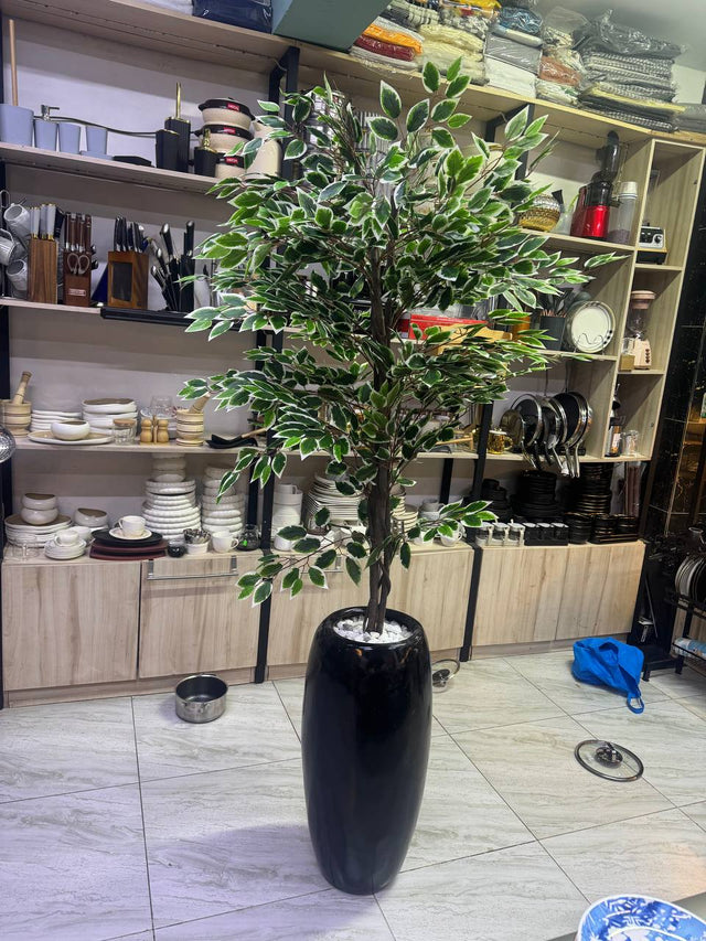 Artificial plant ficus tree in black planter displayed in store — iDecorators Kenya