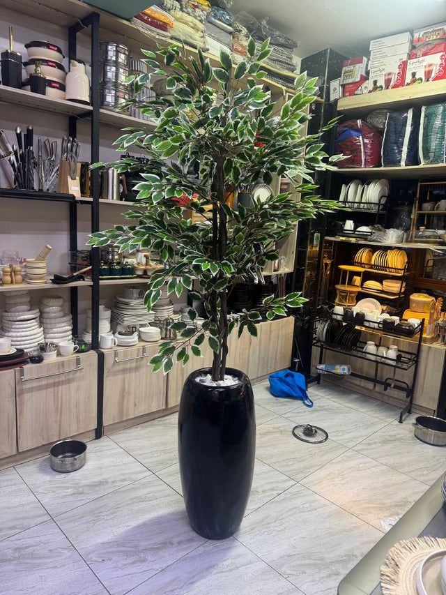 Artificial plant ficus tree variegated leaves in glossy black planter — iDecorators Kenya