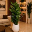 Dieffenbachia Artificial Plant (Dumb Cane Plant)