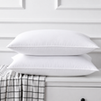 EHL Compressed Fibre Pillow – 1000g
