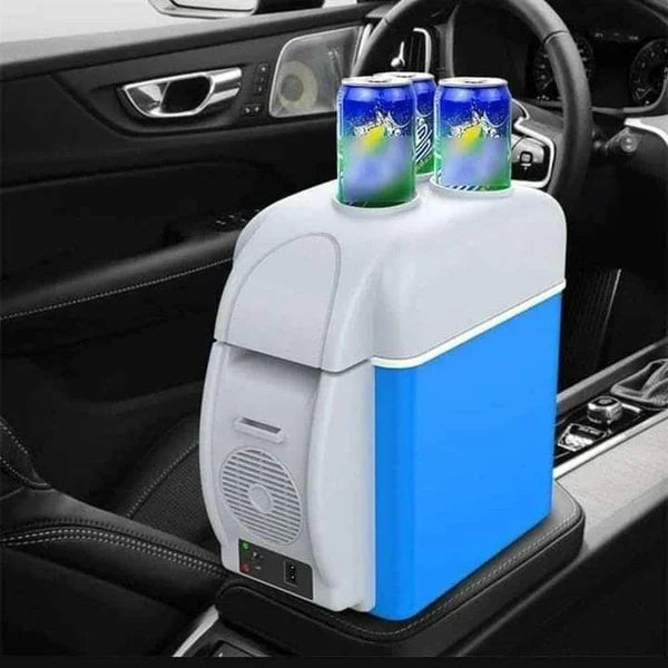Portable car fridge