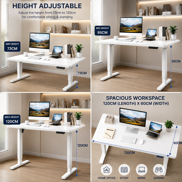 Motorized Sit-Stand Office Desk