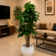 Premium Artificial Money Tree