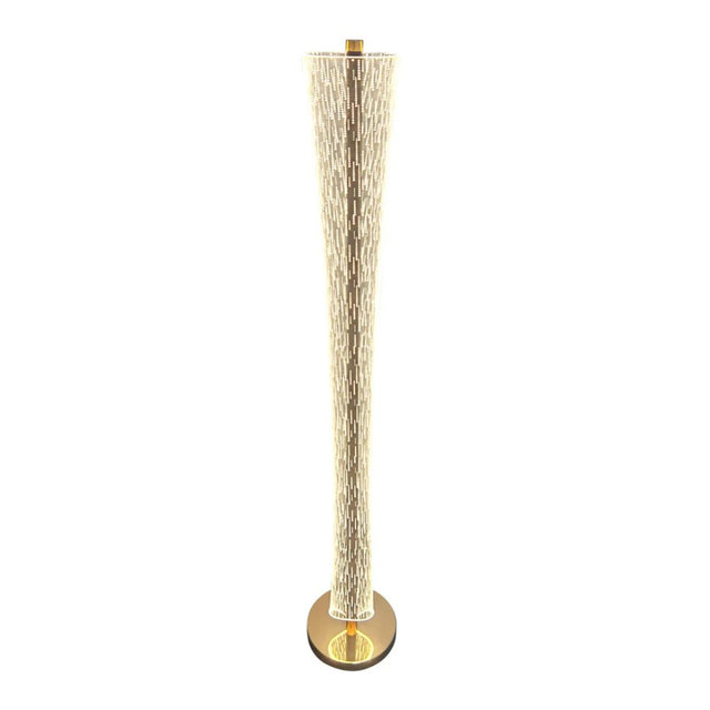 LED Acrylic Floor Lamp