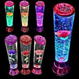 electric colour changing dancing rose