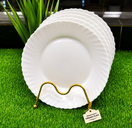 Round Ceramic Dinner Plates Set of 6 plus free holder