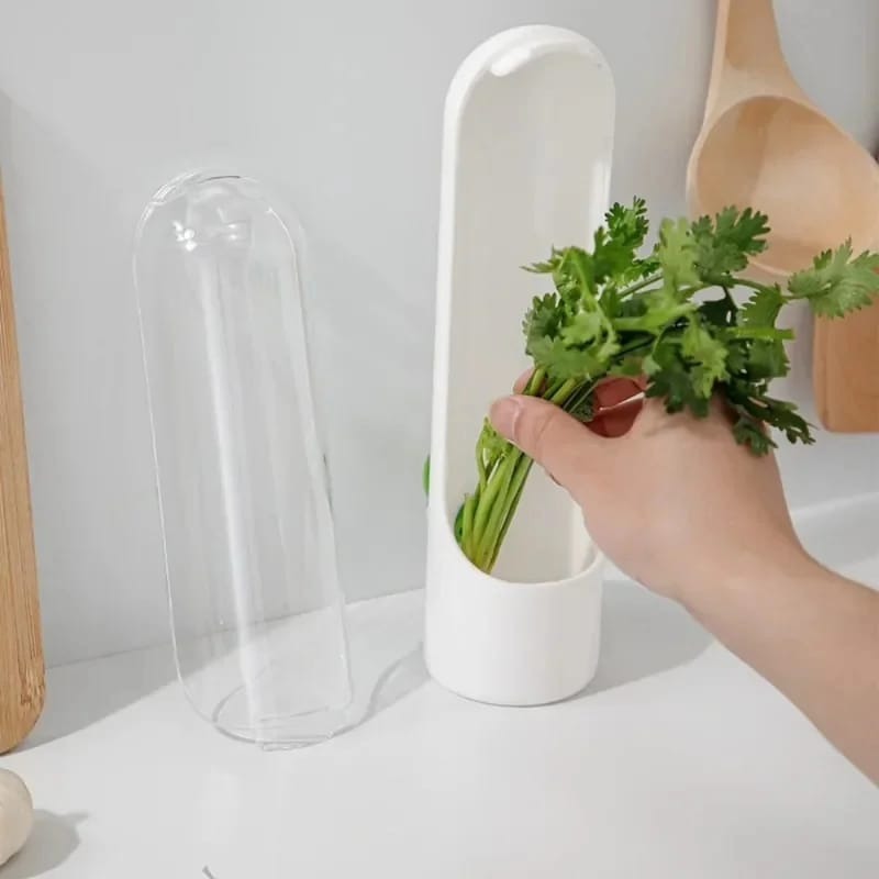 Herb and Vegetable Fresh-Keeping Cup kitchen Storage Vegetable Preservation Bottle Kitchen Storage cup