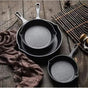 Cast Iron Frying Pan Cooking
