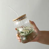 high quality borosilicate stripped glass with lid and straw 500ml