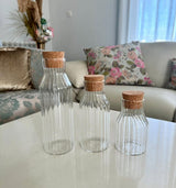 Modern Household Borosilicate Glass Storage Jar with Acacia wooden cork Lid set of jars