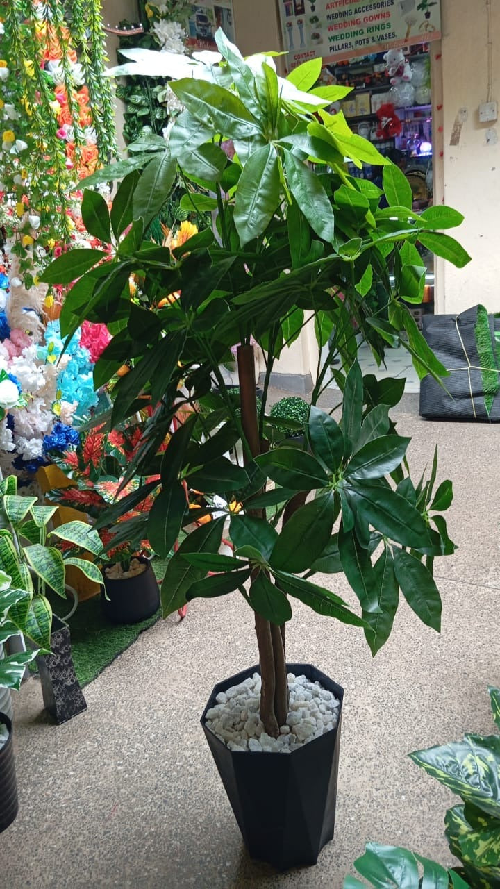 artificial rubber plant