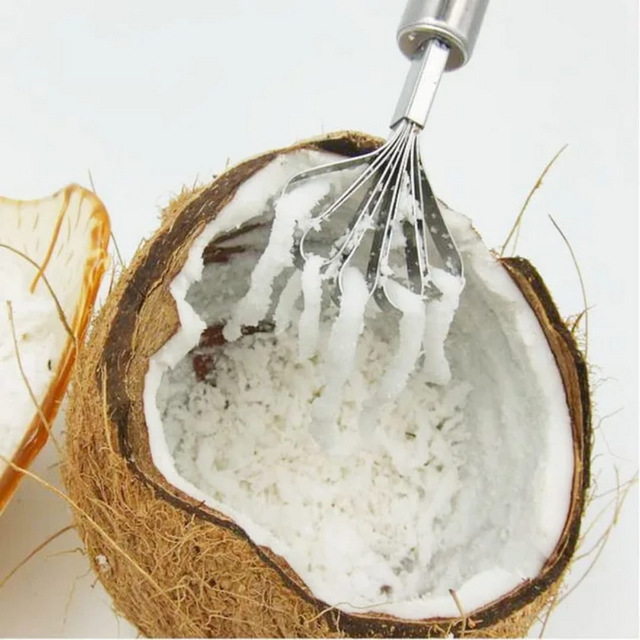 Stainless Steel Coconut Grater