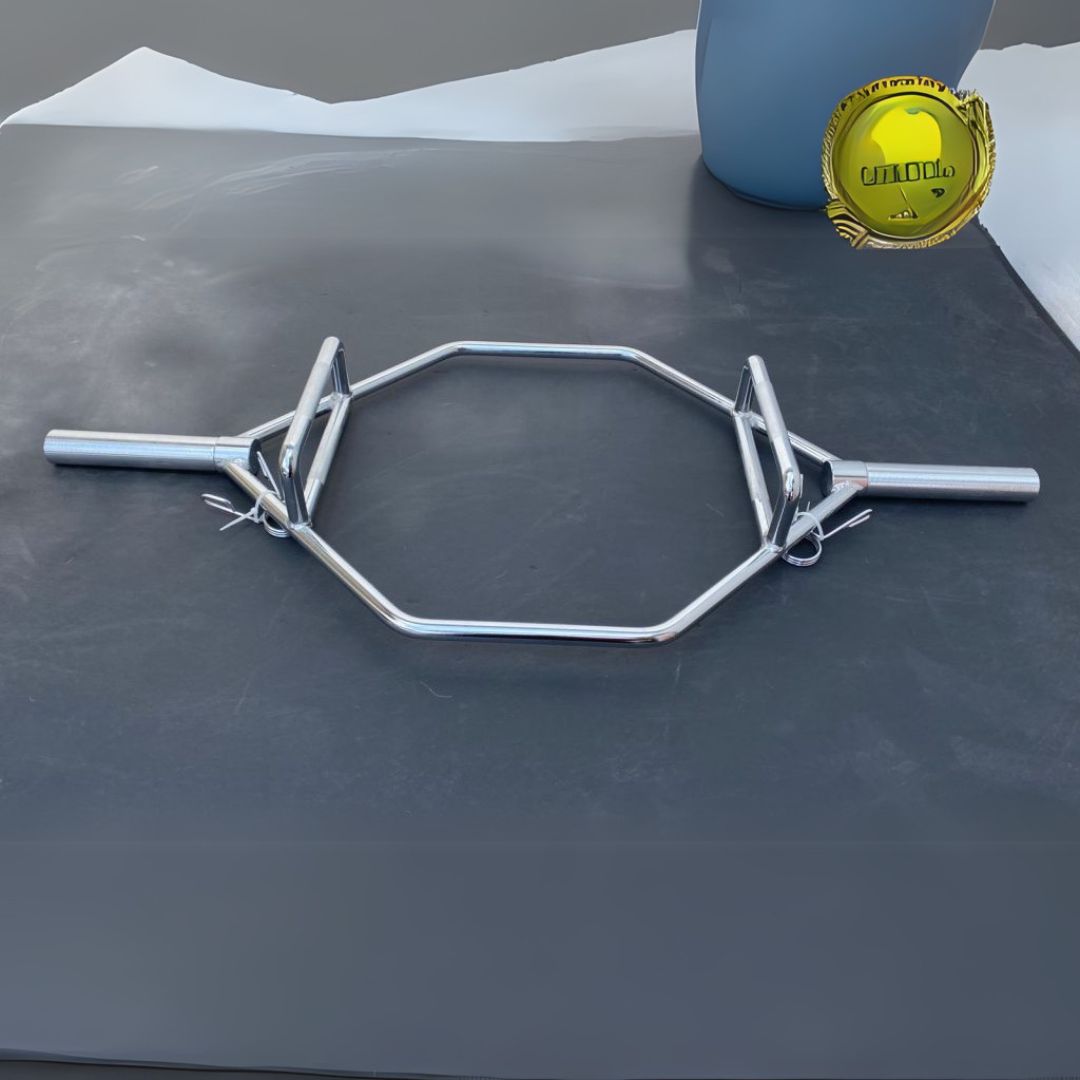 Olympic hexagon, /trap bar