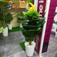 An artificial potted plant displayed 