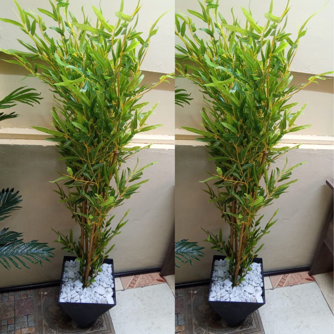 Bamboo tree