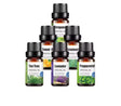 Essential 100% Pure Natural Aromatherapy Essential Oil 10ml
