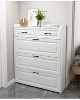 Modern Flip Bucket Shoe rack Cabinet