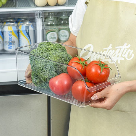 fridge storage organizer