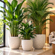 Luxury Ribbed Concrete Planter for Indoor and Outdoor Plants — 48 x 48 x 41.5 cm car