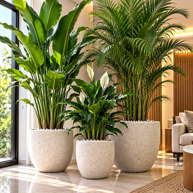 Luxury Ribbed Concrete Planter for Indoor and Outdoor Plants — 48 x 48 x 41.5 cm car