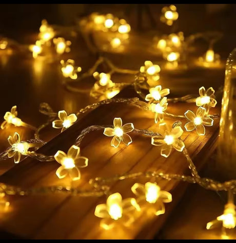 Warm White Flower Shaped LED Fairy String Lights with Remote zaw