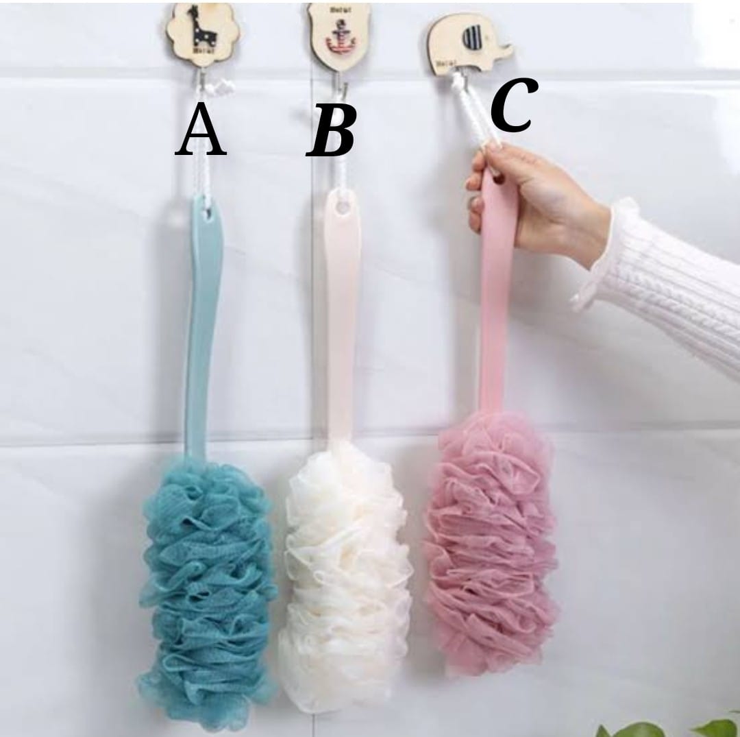 Shower brush with sponge