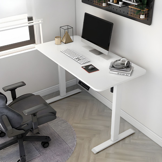 Electric Adjustable Desk 1.2m