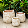 Luxury Ribbed Concrete Planters (3 Sizes)