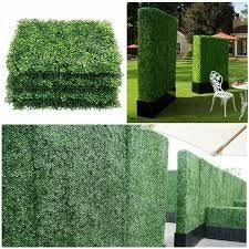 High density wall Hedge/ pannels