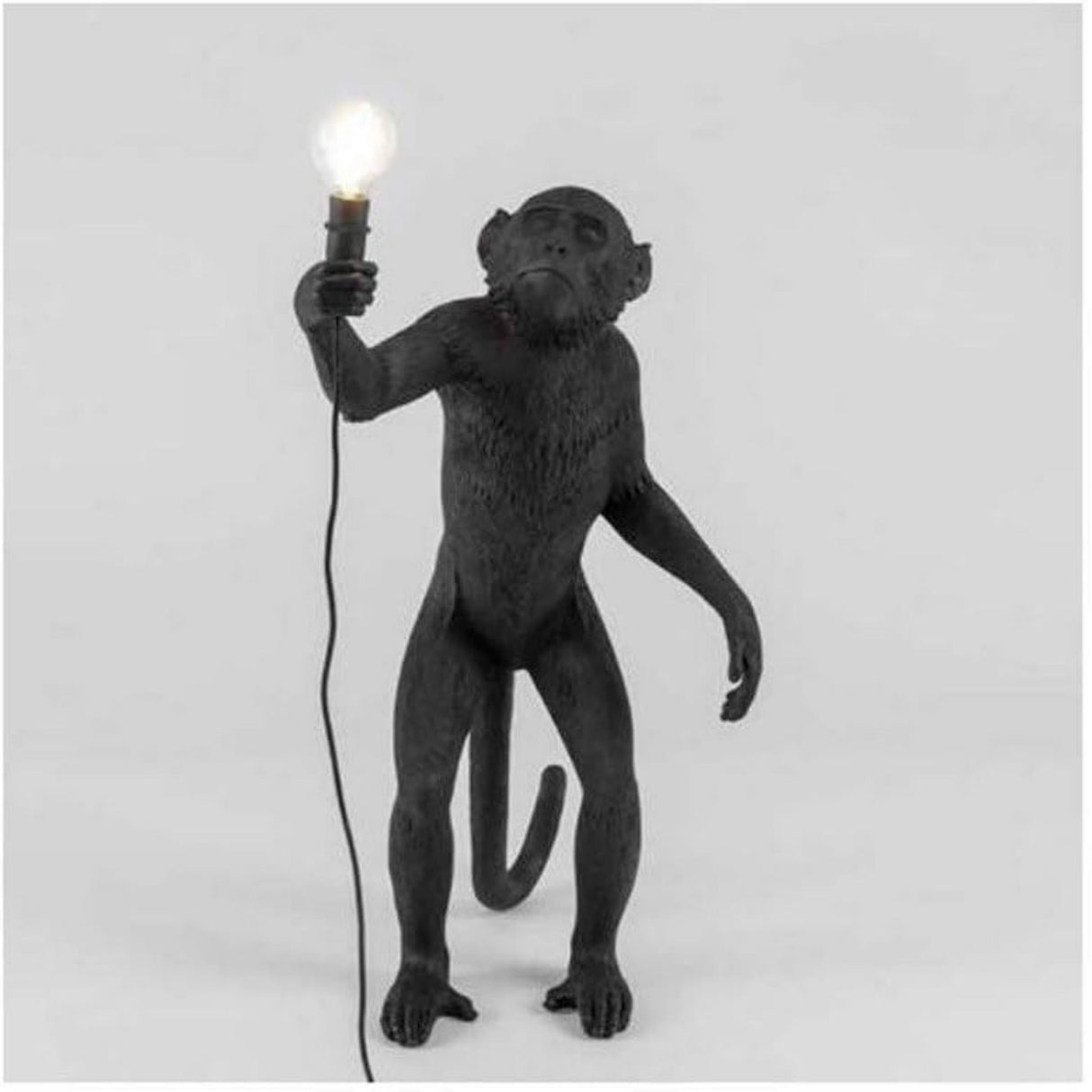 Monkey Resin Floor, study andWall Lamp