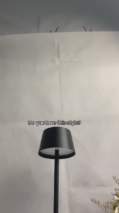 Rechargeable LED DESK LAMP with 3 light modes